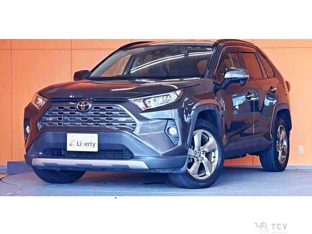 2019 Toyota RAV4