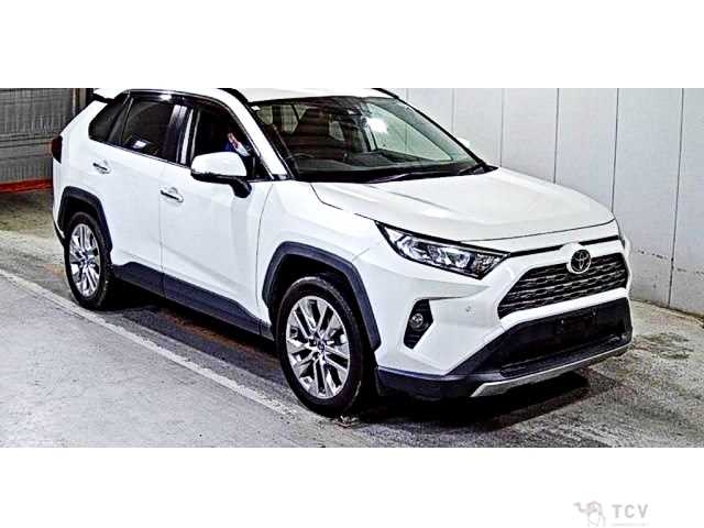 2019 Toyota RAV4