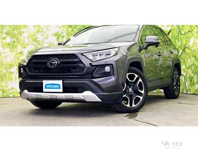 2019 Toyota RAV4