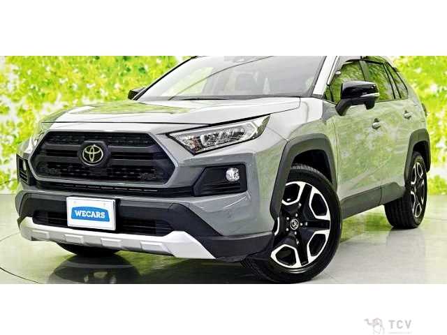2019 Toyota RAV4