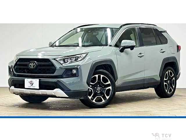 2019 Toyota RAV4