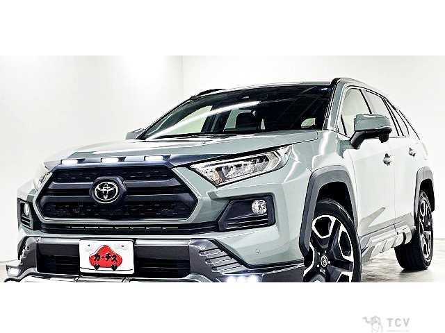 2019 Toyota RAV4