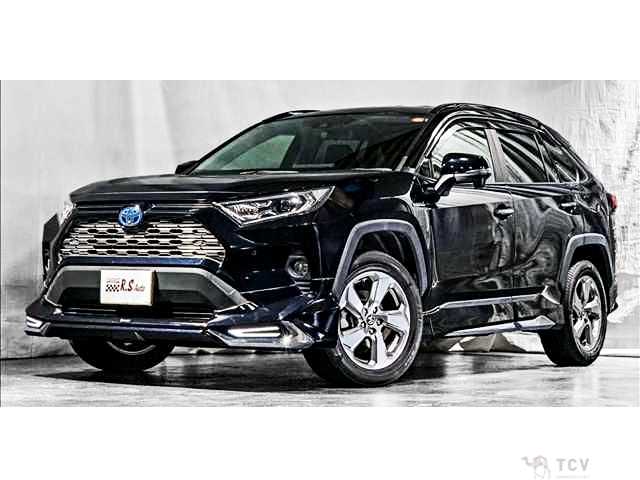 2019 Toyota RAV4