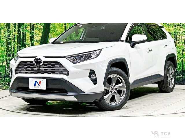 2020 Toyota RAV4