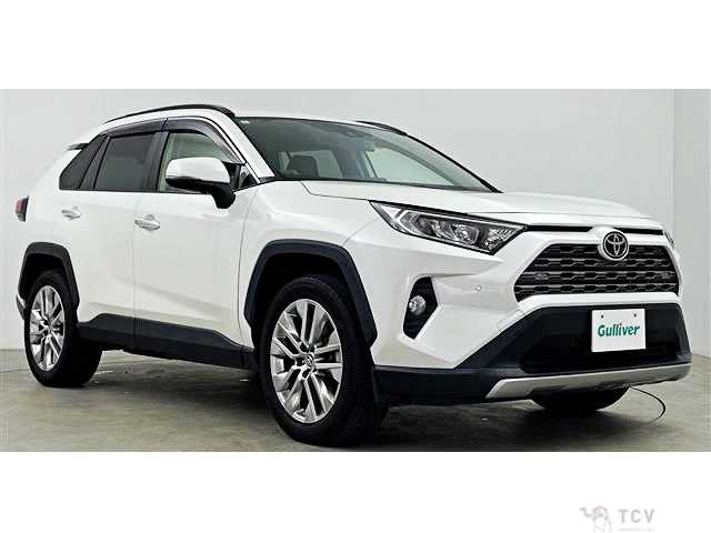 2020 Toyota RAV4