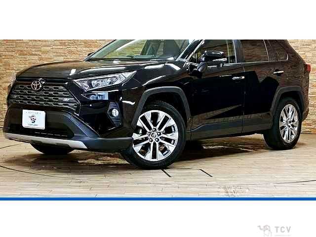 2020 Toyota RAV4