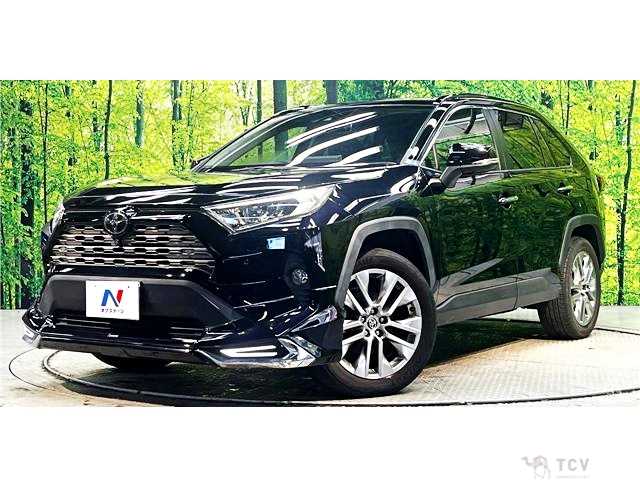 2020 Toyota RAV4