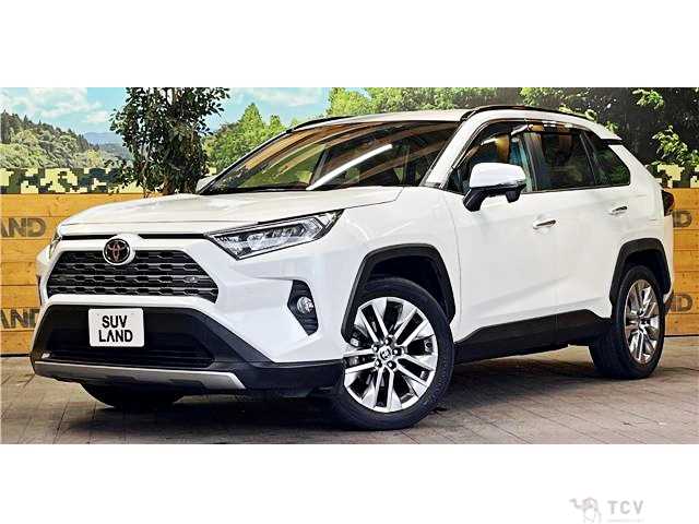 2020 Toyota RAV4