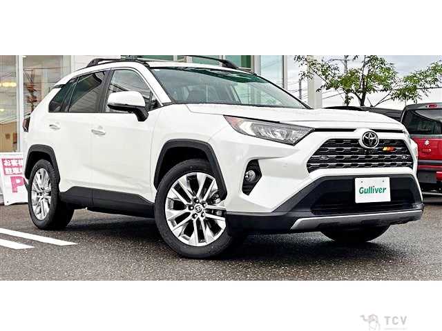 2020 Toyota RAV4