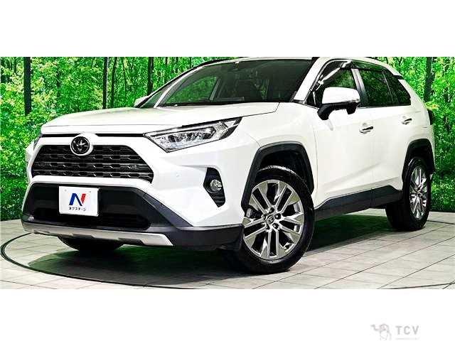 2020 Toyota RAV4