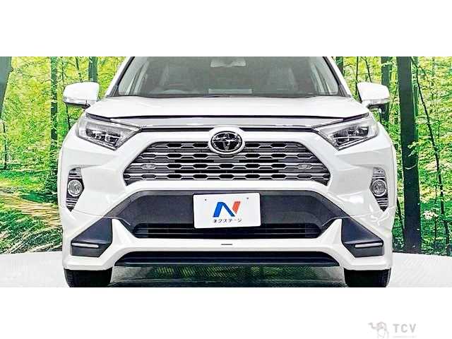 2020 Toyota RAV4