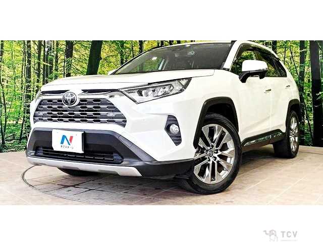 2020 Toyota RAV4