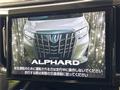 2019 Toyota Alphard