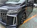 2019 Toyota Alphard