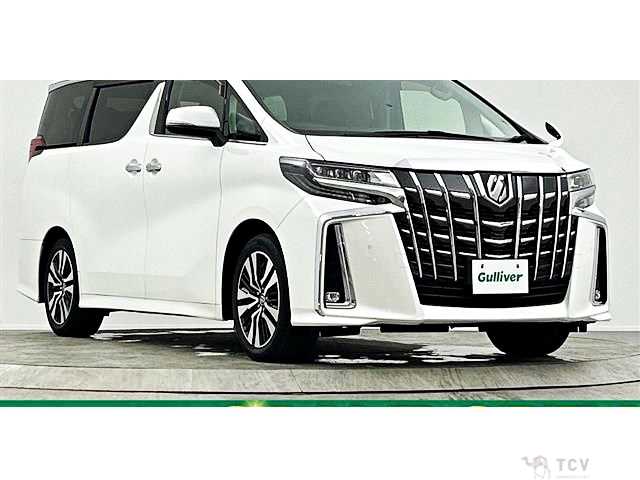 2019 Toyota Alphard