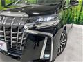 2019 Toyota Alphard