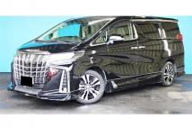 2019 Toyota Alphard