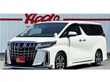 2019 Toyota Alphard