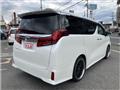 2019 Toyota Alphard