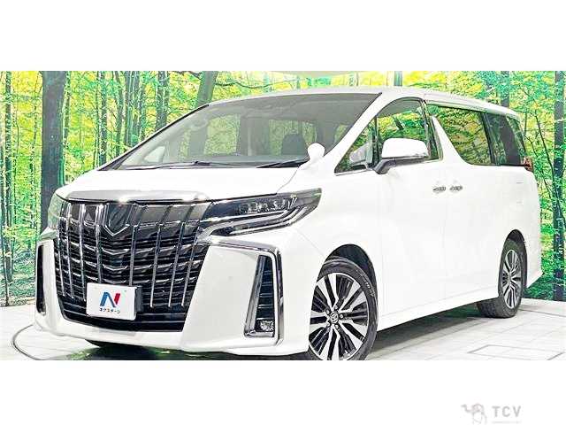 2019 Toyota Alphard