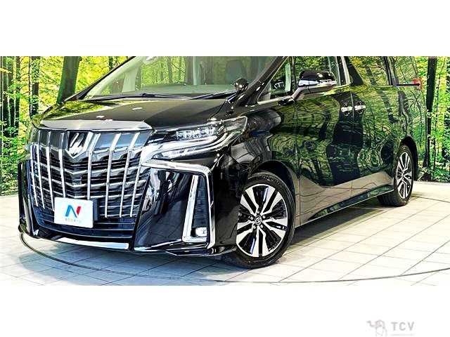 2019 Toyota Alphard