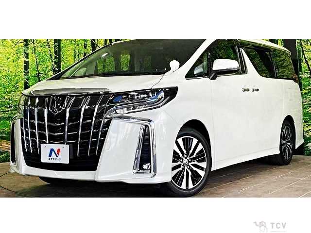 2019 Toyota Alphard