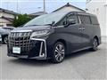 2019 Toyota Alphard