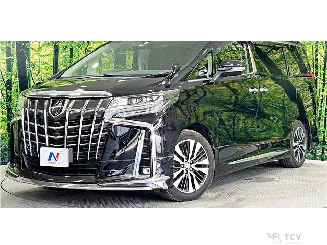 2019 Toyota Alphard