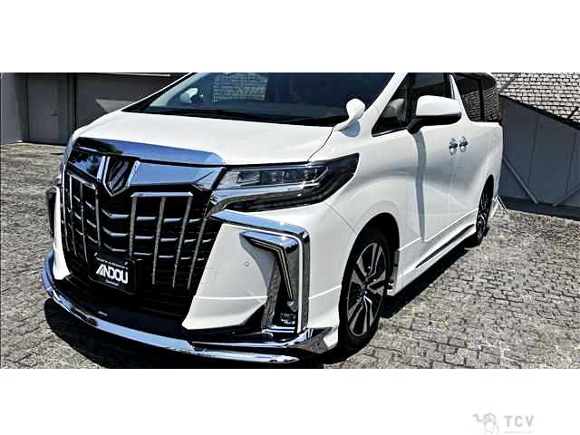 2019 Toyota Alphard