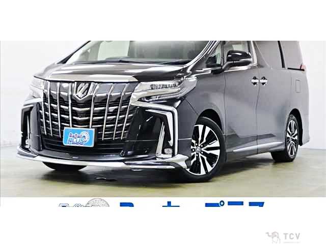 2019 Toyota Alphard