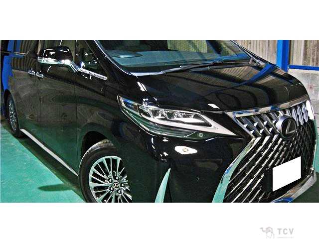 2019 Toyota Alphard