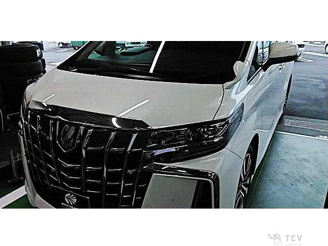 2020 Toyota Alphard