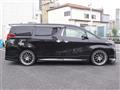 2020 Toyota Alphard
