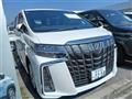 2021 Toyota Alphard