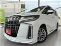 2021 Toyota Alphard