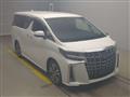 2021 Toyota Alphard
