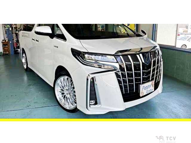 2019 Toyota Alphard Hybrid