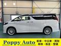 2019 Toyota Alphard Hybrid