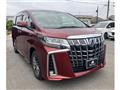 2019 Toyota Alphard Hybrid
