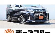 2021 Toyota Alphard Hybrid