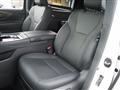 2025 Toyota Alphard Hybrid