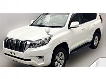 2019 Toyota Land Cruiser Prado