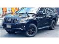 2020 Toyota Land Cruiser Prado