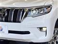2019 Toyota Land Cruiser Prado