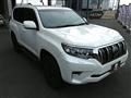 2019 Toyota Land Cruiser Prado