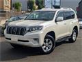 2019 Toyota Land Cruiser Prado