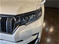 2019 Toyota Land Cruiser Prado