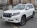 2019 Toyota Land Cruiser Prado