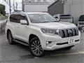 2019 Toyota Land Cruiser Prado