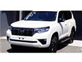 2021 Toyota Land Cruiser Prado